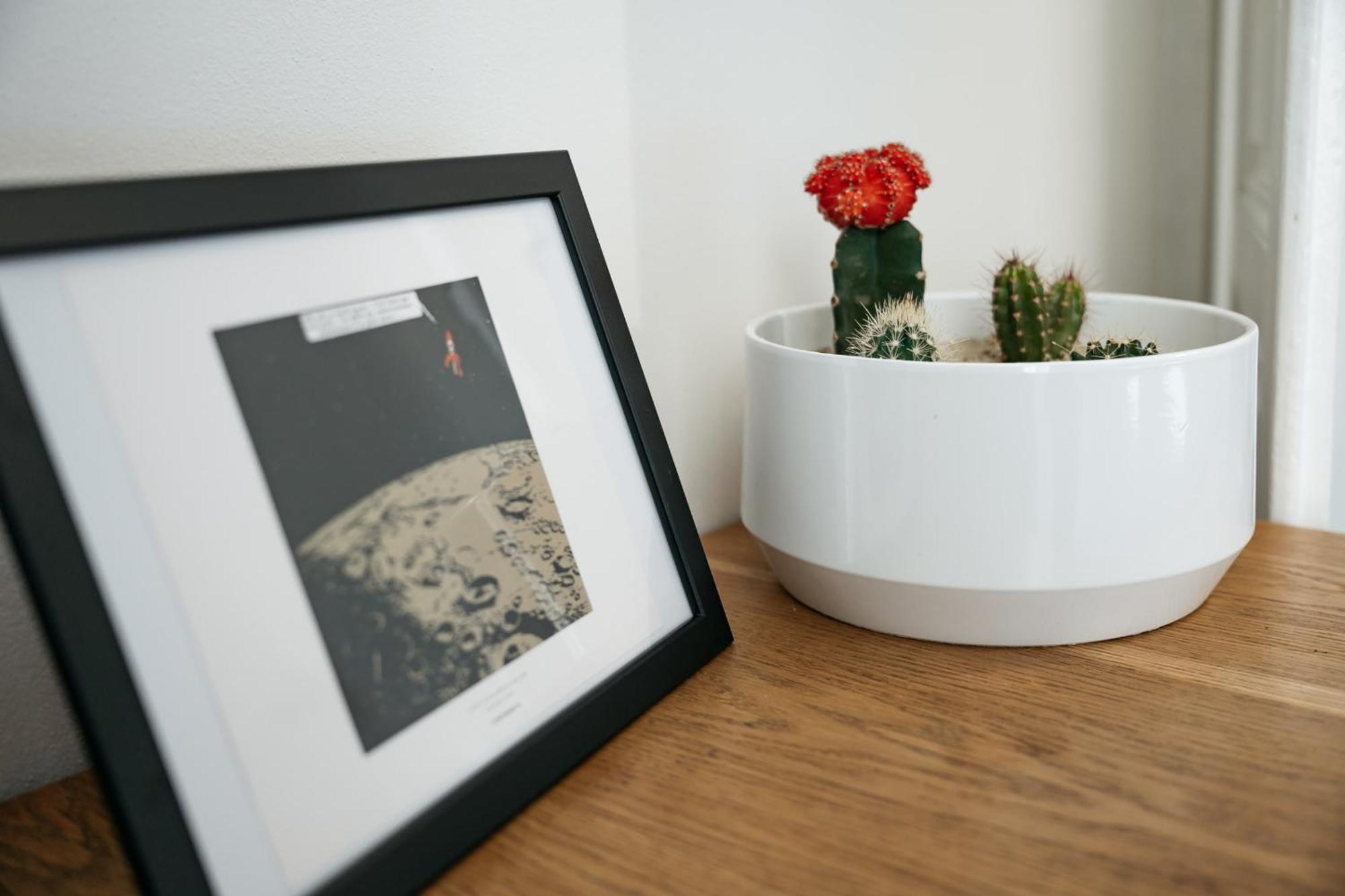 Comfortable And Cosy Apt A Few Steps From Dancing House And Naplavka Dance Πράγα Εξωτερικό φωτογραφία